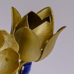 Trophy: Tulip